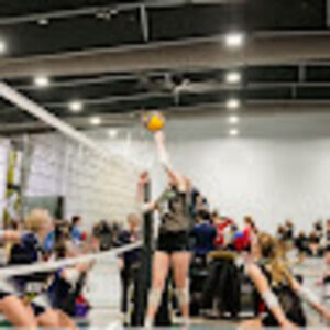 Meet your Posher, Peyton